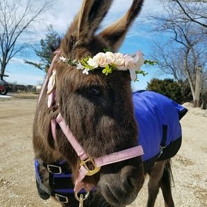 Meet your Posher, Hannah